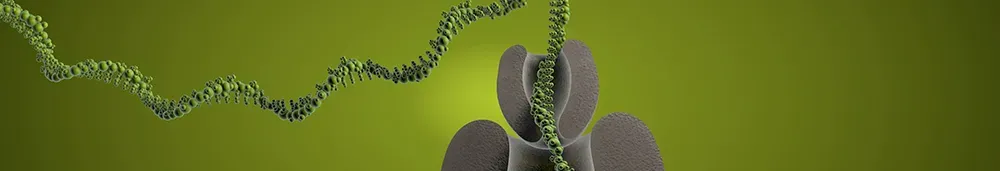 Nanopore Sequenzier Service